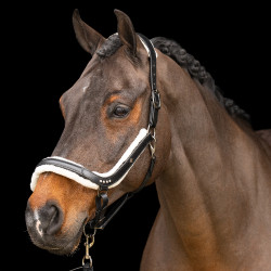 Caveção Imperial Riding Luxury Preto Caveção Imperial Riding Luxury Preto