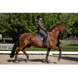 Bandagens de polo Equestrian Stockholm Amaranto