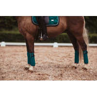 Bandagens de polo Equestrian Stockholm Todo preto cintilante