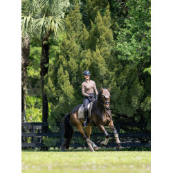 Touca anti-moscas Equestrian Stockholm Champanhe Bege