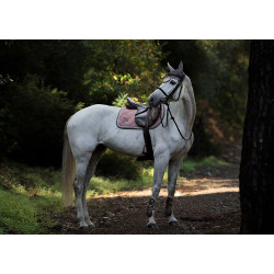 Touca anti-moscas Equestrian Stockholm Rosa empoeirada