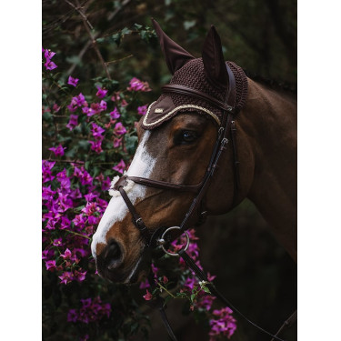 Touca anti-moscas Equestrian Stockholm Marrom dourado Castanho