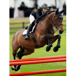 Capuz antimoscas Equestrian Stockholm com cancelamento de ruído Oceano escuro Azul-marinho