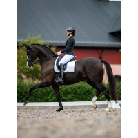 Capuz antimoscas Equestrian Stockholm com cancelamento de ruído Preto