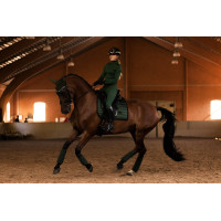 Capuz antimoscas Equestrian Stockholm Performance Preto