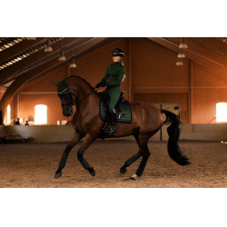 Capuz antimoscas Equestrian Stockholm Performance Verde sicômoro