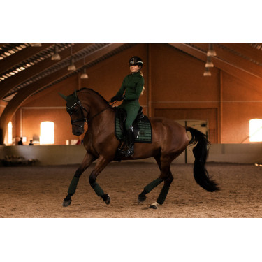 Capuz antimoscas Equestrian Stockholm Performance Verde sicômoro