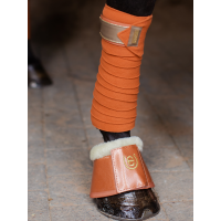 Sinoeira Equestrian Stockholm Bronze dourado