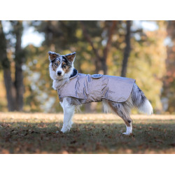 Manta para cão Equestrian Stockholm Reflective Preto brilhante