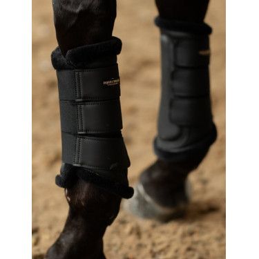 Guetes de dressage Equestrian Stockholm Preto dourado