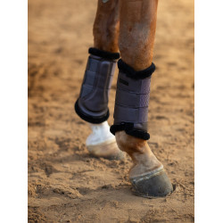 Guetes de dressage Equestrian Stockholm Violeta escura Guetes de dressage Equestrian Stockholm Violeta escura