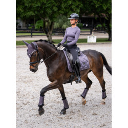 Guetes de dressage Equestrian Stockholm Violeta escura Guetes de dressage Equestrian Stockholm Violeta escura