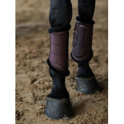 Guetes de dressage Equestrian Stockholm Brilho infinito Castanho