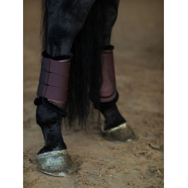 Guetes de dressage Equestrian Stockholm Brilho infinito Castanho