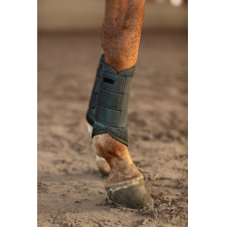 Guarnições de dressage Equestrian Stockholm em malha Avenida Verde