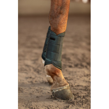 Guarnições de dressage Equestrian Stockholm em malha Avenida Verde