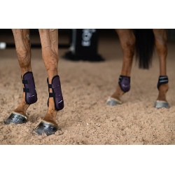 Guêtres Equestrian Stockholm anatômicas Preto raven