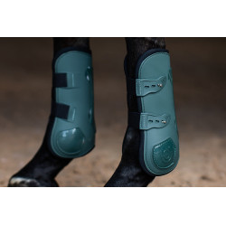 Guêtres Equestrian Stockholm anatômicas Verde sicômoro