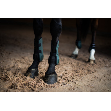 Guêtres Equestrian Stockholm anatômicas Verde sicômoro