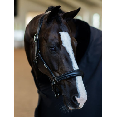 Cabolça de couro Equestrian Stockholm anatómica brilhante Edição Noir Preto