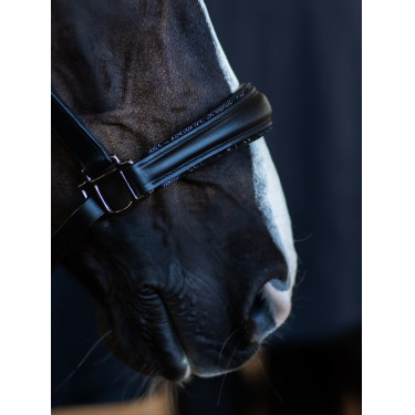 Cabolça de couro Equestrian Stockholm anatómica brilhante Edição Noir Preto