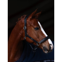 Cabolça de couro Equestrian Stockholm anatómica brilhante Castanho integral