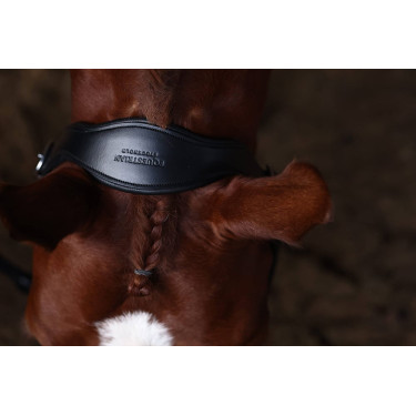 Cabolça de couro Equestrian Stockholm anatómica brilhante Pradaria azul Cabolça de couro Equestrian Stockholm anatómica brilhante Pradaria azul