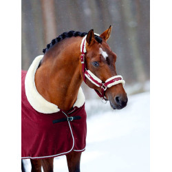 Cabeção e guia Equestrian Stockholm com pelo Bordéus Bordô Cabeção e guia Equestrian Stockholm com pelo Bordéus Bordô