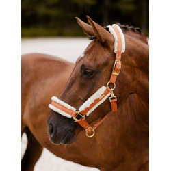 Cabeção e guia Equestrian Stockholm com pelo Bronze dourado