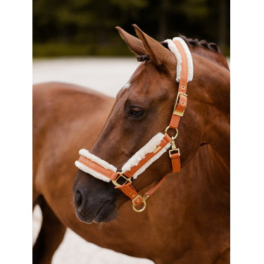 Cabeção e guia Equestrian Stockholm com pelo Bronze dourado