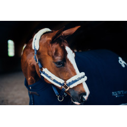 Cabeção e guia Equestrian Stockholm com pelo Marinho Azul-marinho