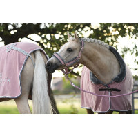 Cabeção e guia Equestrian Stockholm com pelo Rosa