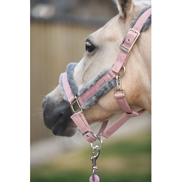 Cabeção e guia Equestrian Stockholm com pelo Rosa