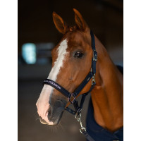 Caveção e guia Equestrian Stockholm plana Tecnologia moderna marinha