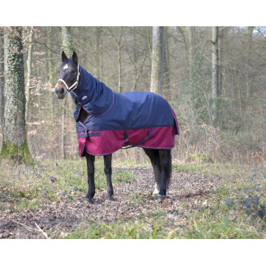 Cobre-pescoço Equithème Tyrex 1200 D 0g Marinho / bordô Azul Cobre-pescoço Equithème Tyrex 1200 D 0g Marinho / bordô Azul