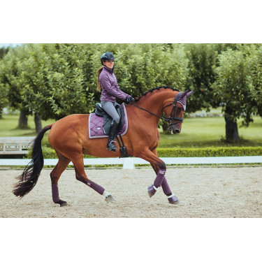 Calças de equitação Equestrian Stockholm Elite feminina Cinzento