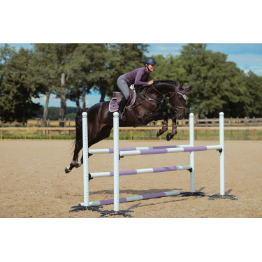 Calças de equitação Equestrian Stockholm Elite feminina Cinzento