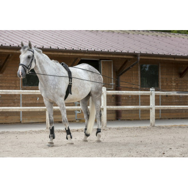 Rendas longas Riding World couro / corda Rendas longas Riding World couro / corda