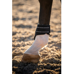 Caneleiras traseiras Equestrian Stockholm anatómicas Tecnologia moderna marinha Azul-marinho