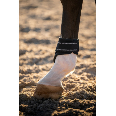 Caneleiras traseiras Equestrian Stockholm anatómicas Tecnologia moderna marinha Azul-marinho