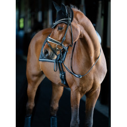 Manta de dressage Equestrian Stockholm Edição preta Preto Manta de dressage Equestrian Stockholm Edição preta Preto