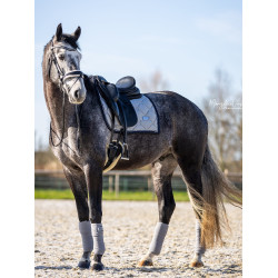 Manta de dressage Equestrian Stockholm Cristal cinza Cinzento