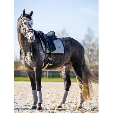 Manta de dressage Equestrian Stockholm Cristal cinza Cinzento