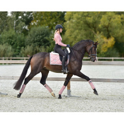 Manta de dressage Equestrian Stockholm Pérola rosa