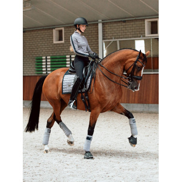 Manta de dressage Equestrian Stockholm Performance Freixo azul esportivo Manta de dressage Equestrian Stockholm Performance Freixo azul esportivo