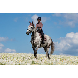 Manta de sela Equestrian Stockholm jumping Amaranto Manta de sela Equestrian Stockholm jumping Amaranto