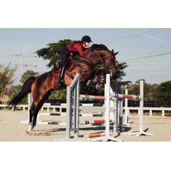 Manta de sela Equestrian Stockholm jumping Bordéus Bord&amp;ocirc;