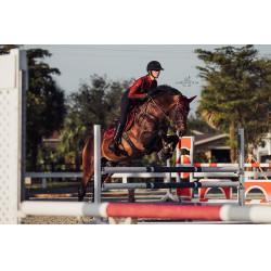 Manta de sela Equestrian Stockholm jumping Bordéus Bord&amp;ocirc;