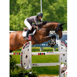 Tapete de sela Equestrian Stockholm jumping Modern Branco violeta escuro
