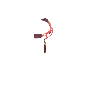 Cabeçada de passeio para brinquedo Mini Pônei LeMieux Cabeçada de passeio para brinquedo Mini Pônei LeMieux